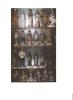 Click to view figurals1_t1.jpg